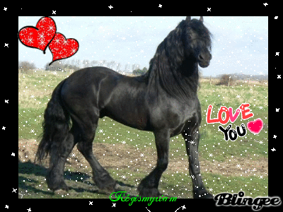 trop trop trop boooooooooo !!!!!!!!!!!